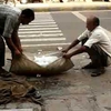 Breaking the Ice
